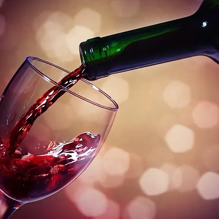 Hotel Relais Des Alpes